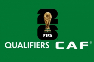 世預(yù)賽非洲區(qū)附加賽：尼日利亞對加蓬，喀麥隆對民主剛果