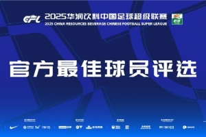 中超第29輪最佳候選：王燊超、鐘義浩、法比奧、澤卡、蘭克爾澤