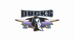 北汽男籃新賽季主場確定首鋼冰球館+五棵松