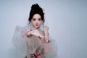 KPL解說靈兒發(fā)布視頻：手勢(shì)舞 來了來了