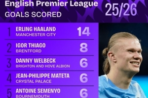 本賽季英超進(jìn)球榜：哈蘭德14球居首，維爾貝克、姆伯莫在列