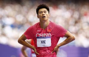 謝震業(yè)：4年太長也許是我最后一屆了，我的堅(jiān)持可能是我的任性