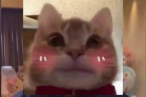 朱開(kāi)：LNG中野是韓援確定了，是BuLLDoG和Croco