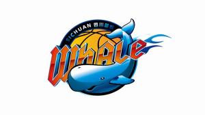 媒體人：全運(yùn)會(huì)過(guò)后 四川女籃投資人大概率放棄接手四川男籃