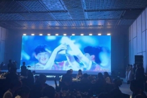 起飛?無(wú)畏契約獲2025福布斯中國(guó)卓越電競(jìng)游戲獎(jiǎng)！